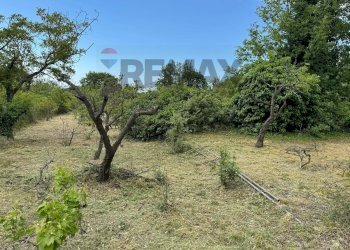 Giardino - Terreno agricolo C.DA FOSSA DEL PERO
SN, Trecastagni - foto 8