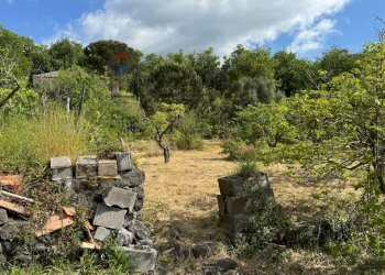 Giardino - Terreno agricolo C.DA FOSSA DEL PERO
SN, Trecastagni - foto 16