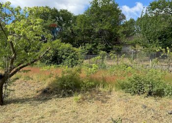 Giardino - Terreno agricolo C.DA FOSSA DEL PERO
SN, Trecastagni - foto 18