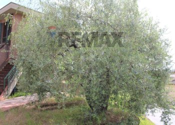 Giardino - Appartamento Via Benedetto Croce
 
63, Castelfiorentino - foto 5
