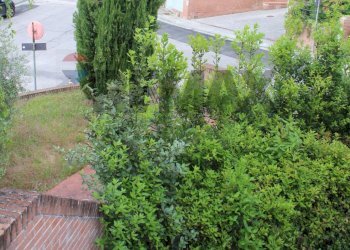 Giardino - Appartamento Via Benedetto Croce
 
63, Castelfiorentino - foto 14
