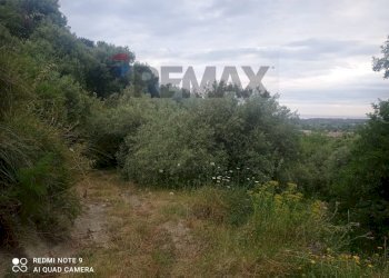 Vista delle montagne - Terreno agricolo contrada baronessa
407, Taormina - foto 8