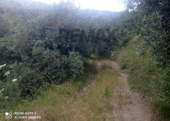 Non correlato - Terreno agricolo contrada baronessa
407, Taormina - foto 9