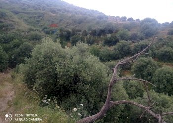 Vista delle montagne - Terreno agricolo contrada baronessa
407, Taormina - foto 12