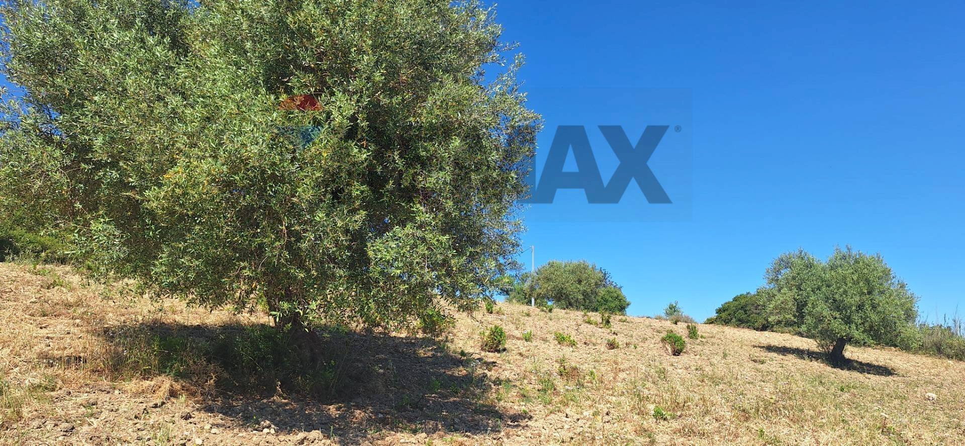 Non correlato - Terreno agricolo Contrada Casale
snc, Noto - foto 2