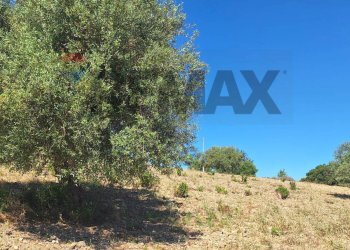 Non correlato - Terreno agricolo Contrada Casale
snc, Noto - foto 2
