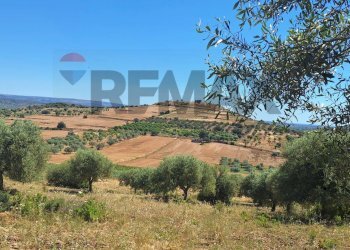 Vista delle montagne - Terreno agricolo Contrada Casale
snc, Noto - foto 3