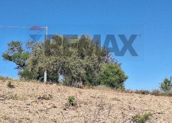 Non correlato - Terreno agricolo Contrada Casale
snc, Noto - foto 7