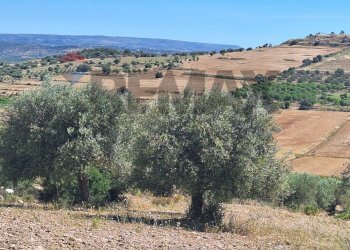 Vista delle montagne - Terreno agricolo Contrada Casale
snc, Noto - foto 10