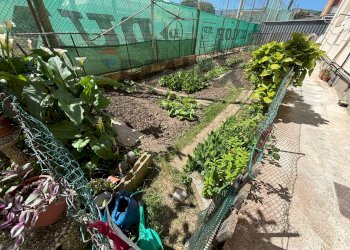 Giardino - Trilocale Mazzini
 
32, Albisola Superiore - foto 48