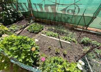 Giardino - Trilocale Mazzini
 
32, Albisola Superiore - foto 49