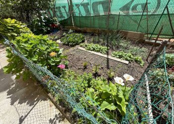 Giardino - Trilocale Mazzini
 
32, Albisola Superiore - foto 50