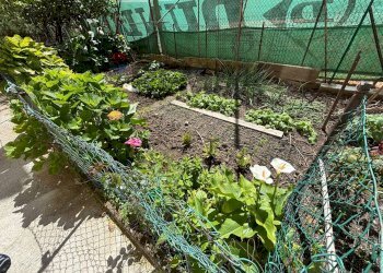 Giardino - Trilocale Mazzini
 
32, Albisola Superiore - foto 51