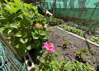 Giardino - Trilocale Mazzini
 
32, Albisola Superiore - foto 53