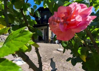 Dettagli - Independent house Montezemolo - photo 47
