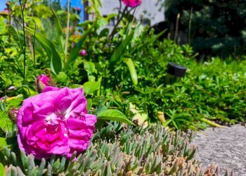 Giardino - Independent house Montezemolo - photo 48