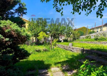 Giardino - Independent house Montezemolo - photo 68