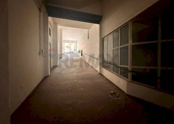 Hall / corridoio - Box Ancona - foto 5