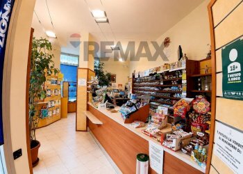 Cucina - Attività Commerciale P.le Lombardia
7, Novara - foto 1
