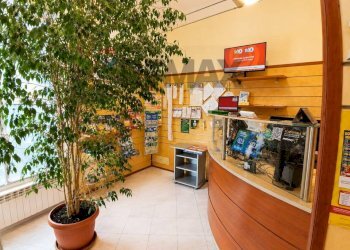 Cucina - Attività Commerciale P.le Lombardia
7, Novara - foto 3