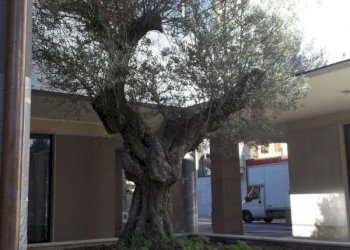 106_0116 - Two-room apartment P.za B. Garzena
 
11, Settimo Torinese - photo 18