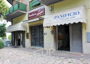 Foto 1 - Attività Commerciale Via della Libertà
70, Palombara Sabina - foto 1