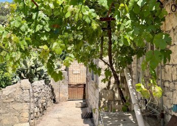 Giardino - Rustico Via Orazio Giorgio Pluchino, Modica - foto 36