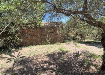 Giardino - Rustic Allai - photo 33