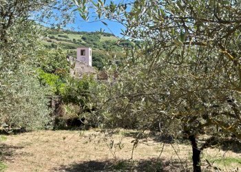 Giardino - Rustic Allai - photo 35