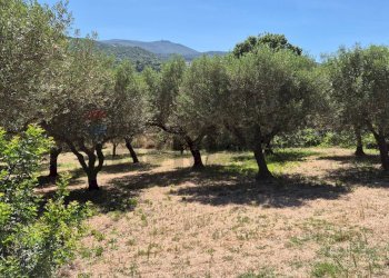 Giardino - Rustic Allai - photo 36
