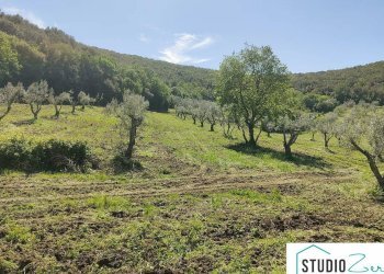 Foto 11 - Rustico Guardea - foto 11