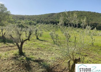 Foto 12 - Rustico Guardea - foto 12
