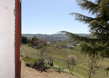 Vista - Rustico Regione Secco, Canelli - foto 12