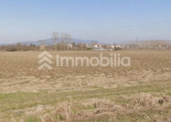 Foto 3 - Agricultural land Frazione Orelle
snc, Vinovo - photo 3