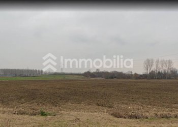 Foto 10 - Agricultural land Frazione Orelle
snc, Vinovo - photo 10