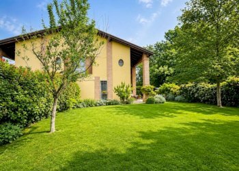 Giardino - Appartamento San Lazzaro di Savena - foto 1