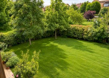 Giardino - Appartamento San Lazzaro di Savena - foto 20