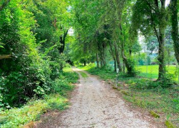 Terreno - Villa via di Gaibola, Bologna (neighborhood Colli) - photo 19