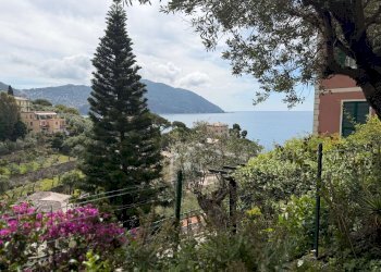 img_6025 - Portion of a house salita Costa Lunga, Recco - photo 7