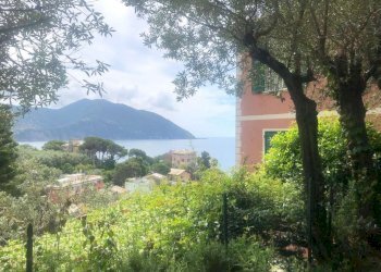 dff01fb2-fd21-4241-93cb-3056fbded703 - Portion of a house salita Costa Lunga, Recco - photo 15