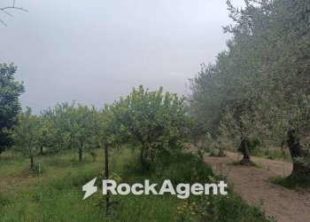 Terreno - Villa Bommiscuro SNC, Noto - foto 13