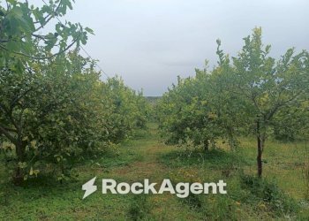 Terreno - Villa Bommiscuro SNC, Noto - foto 17