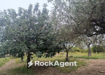 Terreno - Villa Bommiscuro SNC, Noto - foto 19