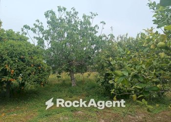 Terreno - Villa Bommiscuro SNC, Noto - foto 20