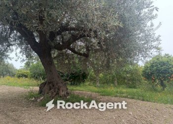 Terreno - Villa Bommiscuro SNC, Noto - foto 23