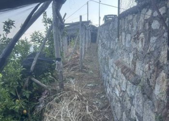 Terreno - Terreno agricolo largo Civita, 10, Ravello - foto 18