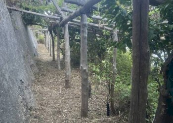 Terreno - Terreno agricolo largo Civita, 10, Ravello - foto 21