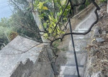 Terreno - Terreno agricolo largo Civita, 10, Ravello - foto 39