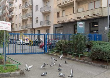 WhatsApp Image 2026-05-18 at 16.37.53 (2) - Two-room apartment Corso Orbassano 191, Torino (neighborhood Pozzo Strada) - photo 17