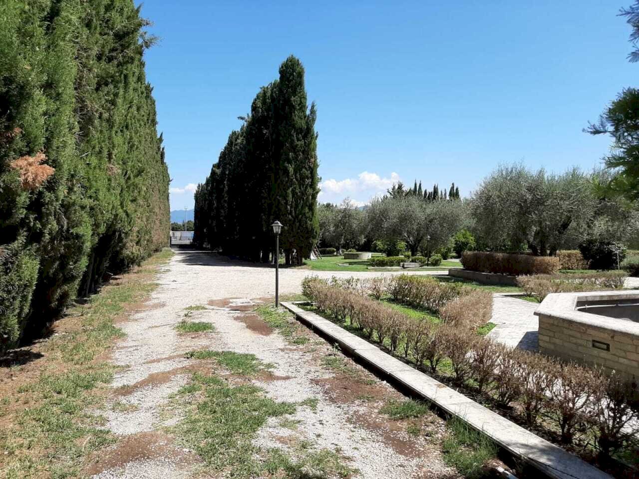 WhatsApp Image 2026-05-14 at 11.54.26 (2) - Stable - Palace Via Prato della Corte 12, Fiano Romano - photo 3